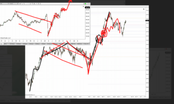 Forward Focus 3/26/2021