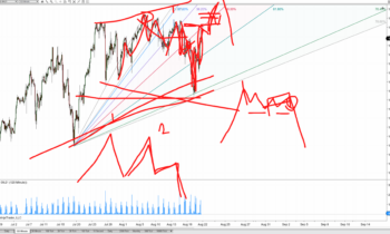 Forward Focus 8/20/2021