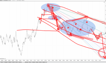 Forward Focus 8/13/2021