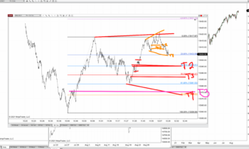 Forward Focus 8/27/2021