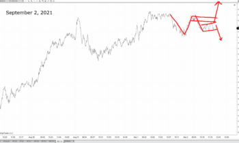 LOT Live 9/2/2021 Trend Development
