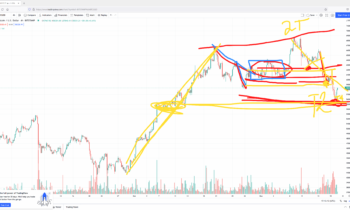 Forward Focus 11/19/2021