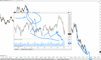 Forward Focus 12/3/2021
