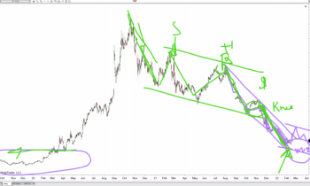 Forward Focus- 2/11/2022